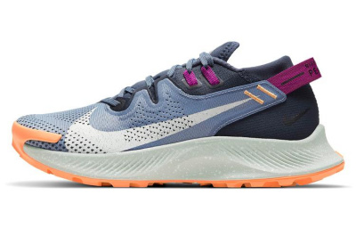 Nike Pegasus Trail 2