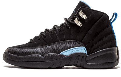 Jordan Air Jordan 12 GS
