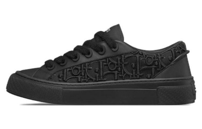 DIOR B33