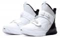Nike Lebron