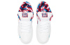 Parra x Nike Dunk SB 3D