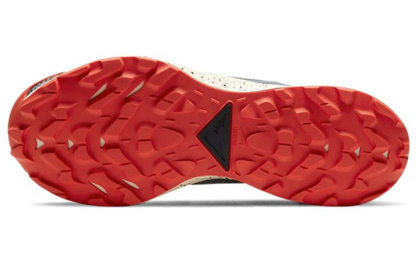 Nike Pegasus Trail 2 GORE-TEX