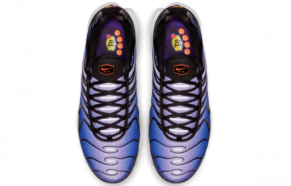 Nike Air Max Plus Midnight Purple