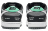 Nike Dunk SB pro iso "vx1000 camcorder"