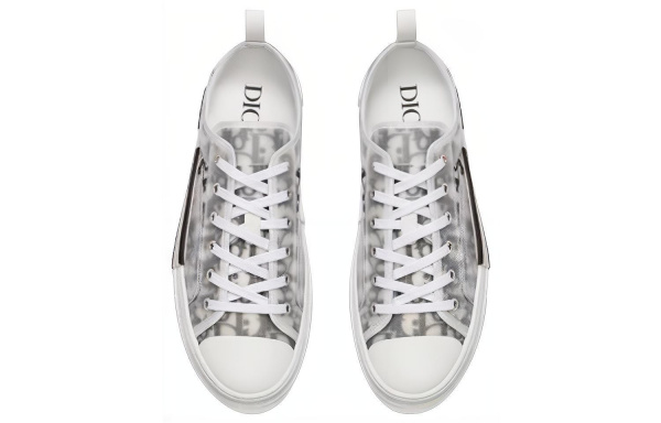 Dior B23 oblique logo