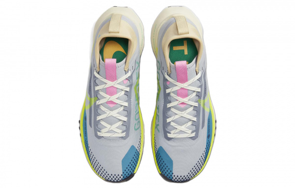 Nike Pegasus Trail 4 GORE-TEX