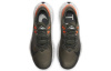 Nike Pegasus Trail 2
