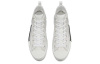Dior B23 Oblique