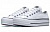 Converse Chuck Taylor All Star Platform Low Top