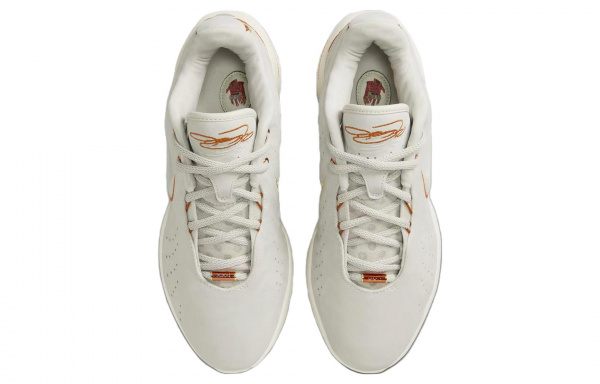 Nike Lebron 21 EP "Akoya" 21 LBJ21