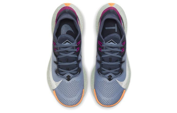 Nike Pegasus Trail 2
