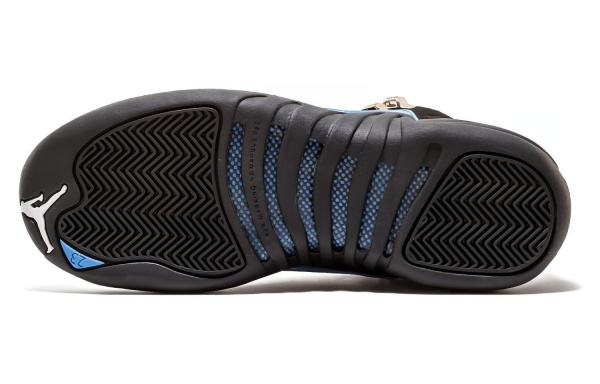 Jordan Air Jordan 12 GS