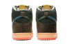 CONCEPTS x Nike Dunk SB Pro QS "Mallard"