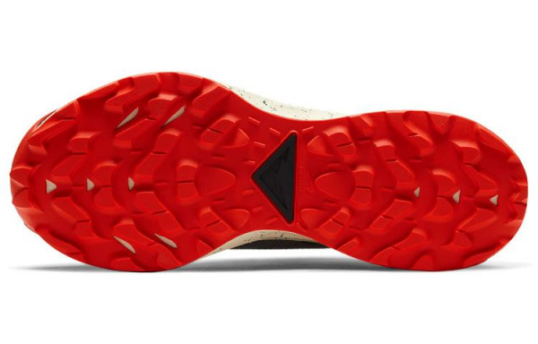 Nike Pegasus Trail 2 GTX