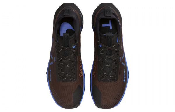 Nike Pegasus Trail 4 GORE-TEX
